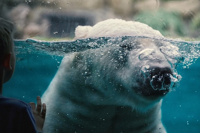 Dresdner Zoo 3